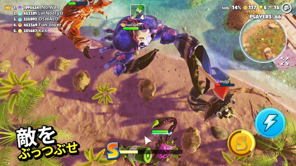 King of Crabs 紹介画像